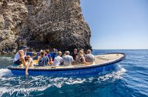 Split or Trogir: Blue Cave, Vis, and Hvar Speedboat Day Tour