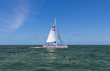 Dolphin Watch & Harbor Tour in Historical St. Augustine