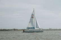 Dolphin Watch & Harbor Tour in Historical St. Augustine