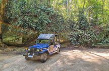 Jeep Adventure: guided tour through Tijuca Rain Forest