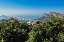 Jeep Adventure: guided tour through Tijuca Rain Forest
