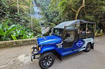 Jeep Adventure: guided tour through Tijuca Rain Forest
