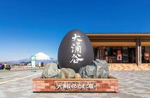 Tokyo Day Tour in Mt. Fuji, Lake Ashi Cruise and Owakudani Cable 