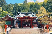 Mt Fuji Hakone Tour from Tokyo: Cable Car and Cruise Option