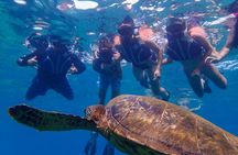 Turtle Town Clear Kayak and Snorkel Tour (7am-9:30am)