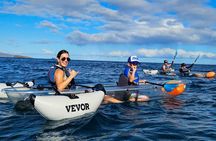 Turtle Town Clear Kayak and Snorkel Tour (7am-9:30am)