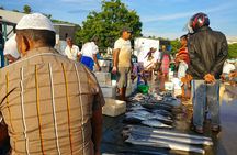 Small Group Hambantota City Tour