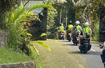 Full Day Bali Scooter Tour