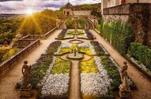 Würzburg Romantic Road Castle or Residence or City Private Tour