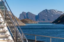 Beiarfjord & Saltstraumen Cruise with Guide