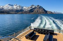 Beiarfjord & Saltstraumen Cruise with Guide