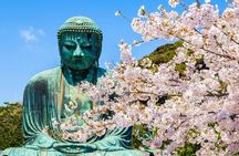 From Tokyo Kamakura, Hachimangu Shrine and Enoshima Full Day Tour