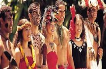Pearl Harbor, Dole Plantation, & Polynesian Center Tour from Kona