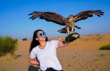 VIP Desert Safari with Quad Biking Dubai