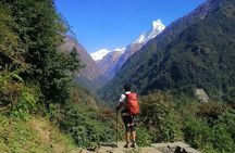 5 Days Annapurna Base Camp Trek