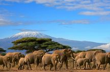 3 Days 2 Nights Amboseli National Park Tour