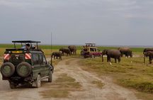 3 Days 2 Nights Amboseli National Park Tour