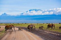 3 Days 2 Nights Amboseli National Park Tour