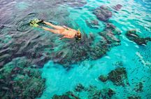 6 Hours Rose Island Tour with Snorkeling Experience and Lunch