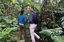 Day Trip at Materuni Waterfalls and Coffee Tour in Tanzania