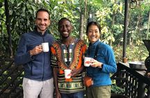Day Trip at Materuni Waterfalls and Coffee Tour in Tanzania