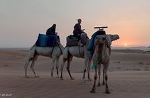 1 Hour Dromedary Ride near Essaouira, Morocco