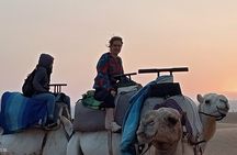 1 Hour Dromedary Ride near Essaouira, Morocco