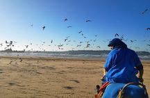 2 Hours Dromedary Ride Tour in Essaouira Morocco