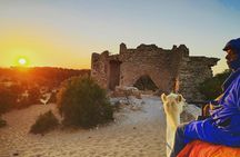 2 Hours Dromedary Ride Tour in Essaouira Morocco