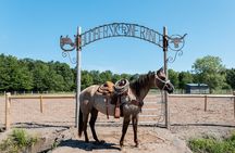 Horseback Riding in Niagara with a Trail Riders Experience