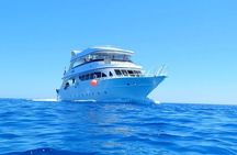 Ras Mohamed & White Island,Snorkeling & 1 Diving -Sharm el sheikh