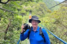 Rainforest Volcano Tour