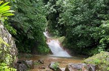 Rainforest Volcano Tour