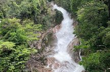 Rainforest Volcano Tour