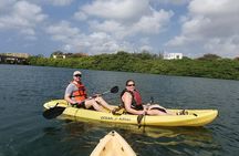 Sunset Kayak and Snorkeling Tour