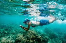 Sunset Kayak and Snorkeling Tour