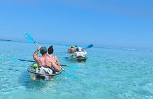 Eco Kayak Excursion in Moorea Lagoon for a Day