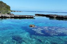 Eco Kayak Excursion in Moorea Lagoon for a Day