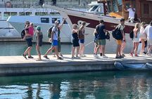 From Zadar Krka Waterfalls with Skradin Beach and Boat Cruise 