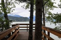 Alaska Nature Immersion: Forest Therapy Tour in Haines, Alaska