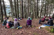 Alaska Nature Immersion: Forest Therapy Tour in Haines, Alaska
