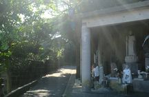 Half Day Private Walking Tour in Historical Port Town