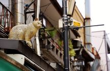 Tokyo: Yanaka Historic Streets Guided Tour & Asakura Museum Visit