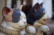 Tokyo: Yanaka Historic Streets Guided Tour & Asakura Museum Visit