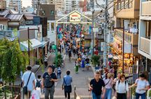 Tokyo: Yanaka Historic Streets Guided Tour & Asakura Museum Visit