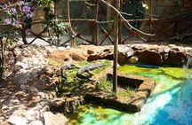 Hurghada Grand Aquarium Entry Ticket and Tour