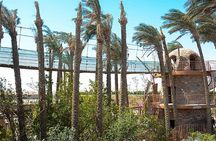 Hurghada Grand Aquarium Entry Ticket and Tour