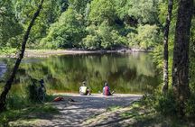 Steamship Cruise, Sheepdog Demo, Foraging Walk, Trossachs Trail