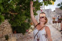 Gastronomy tour and wine tasting in traditional villages 