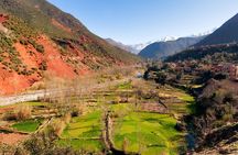 Marrakech: The Atlas, the valley DE the Ourika waterfalls